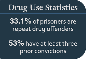 Drug Use Statistics